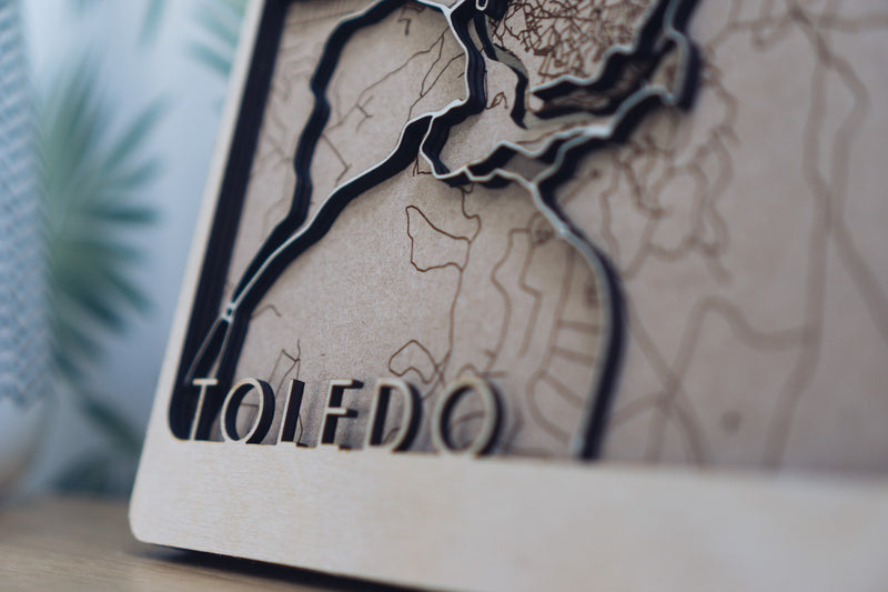 Toledo laser cut Map