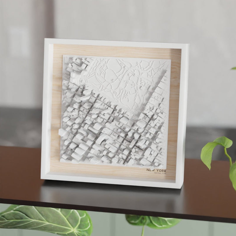 Central Park nyc custom map
