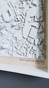 Tiny Towns - Newcastle United St James' Park