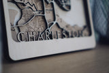 Charleston Wood Map Wall Art