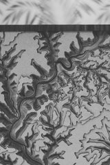 pine creek wood map