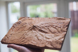 Mount Hood Topographic Carved Map. Oak Hardwood.