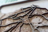 Edinburgh Laser Cut Map