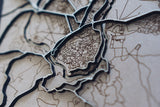 Toledo Wood Map