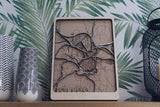 Toledo Wood Map